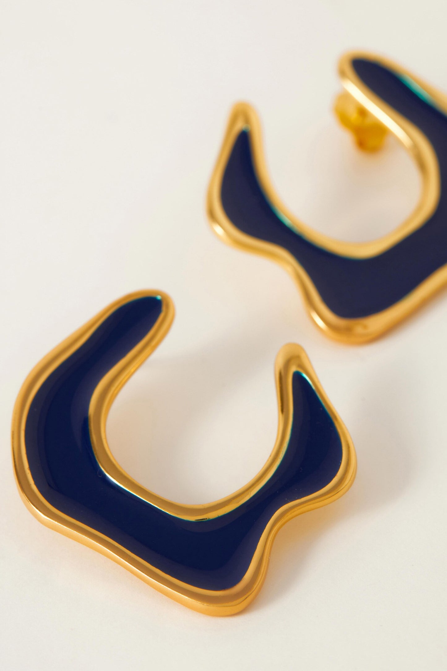 Hawaii Enamelled Earrings