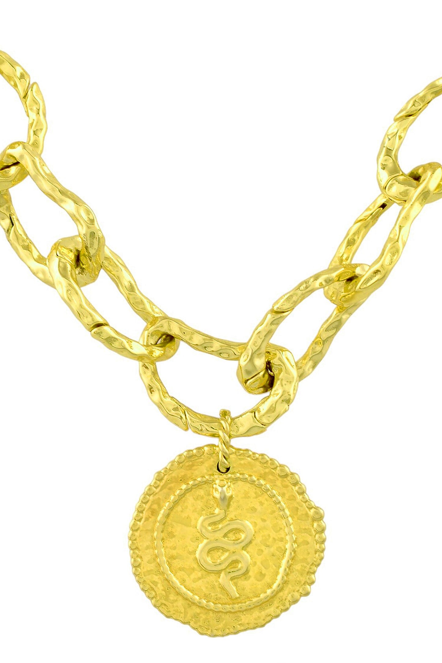Molten Textured Snake Charm Necklace