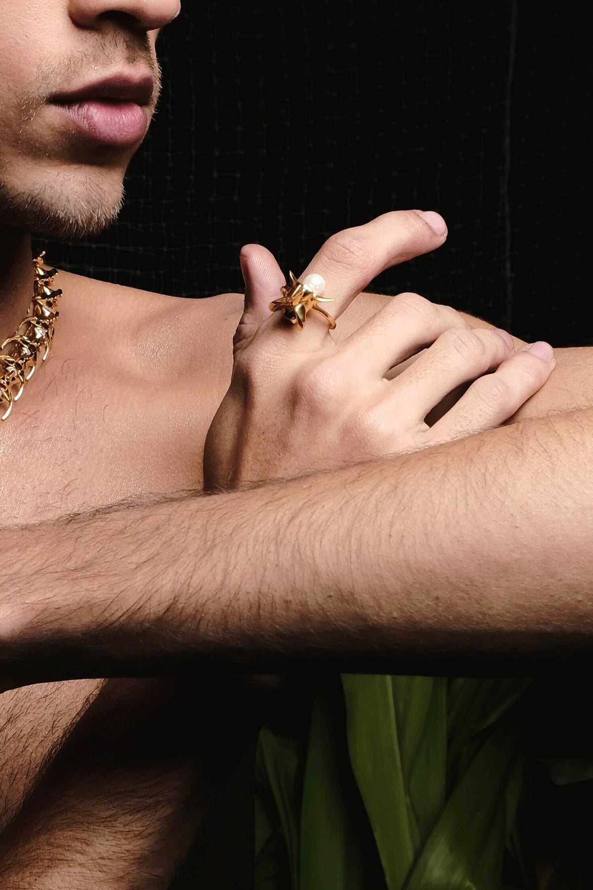 Python Ring