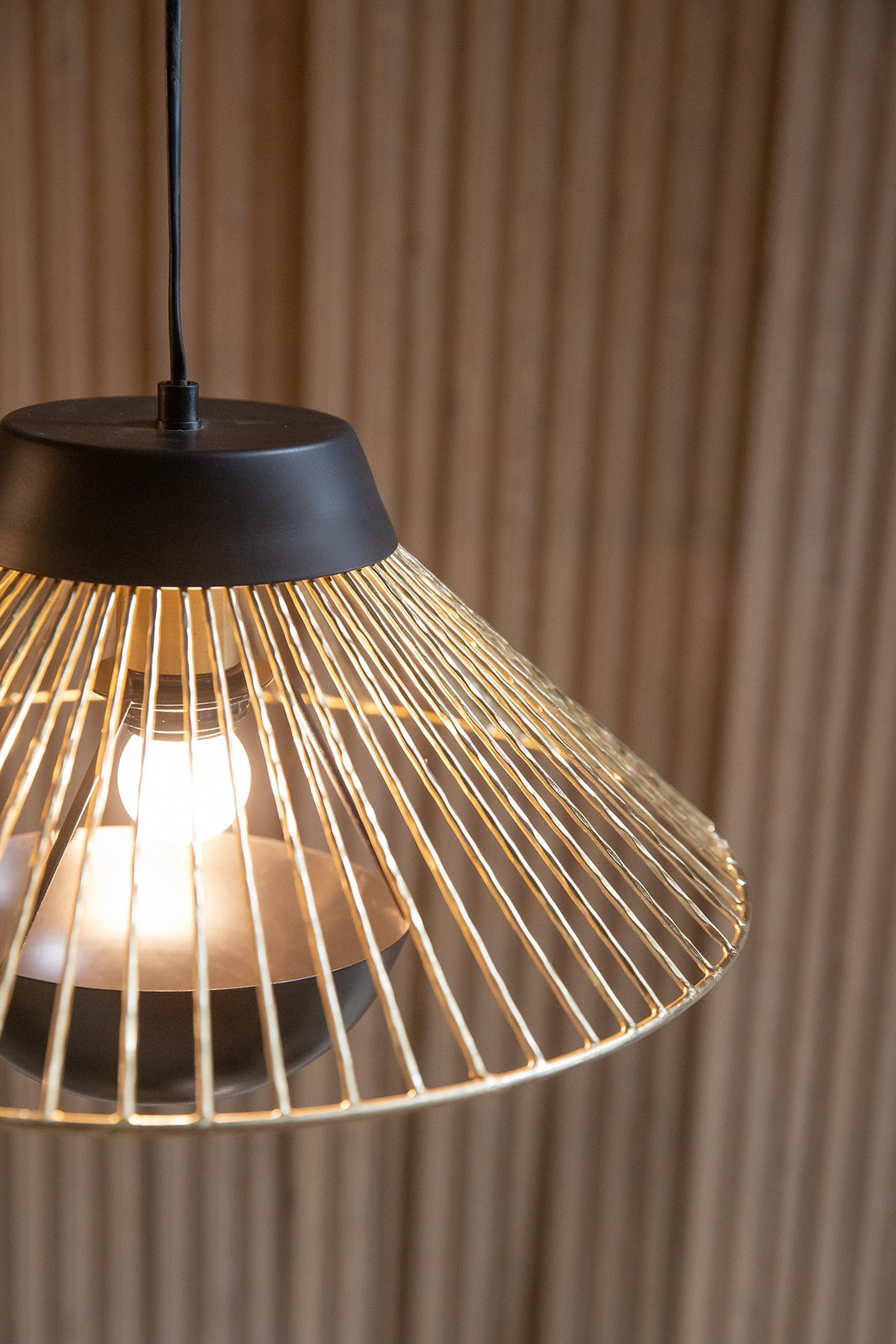 Black & Gold Iron Pendant Light