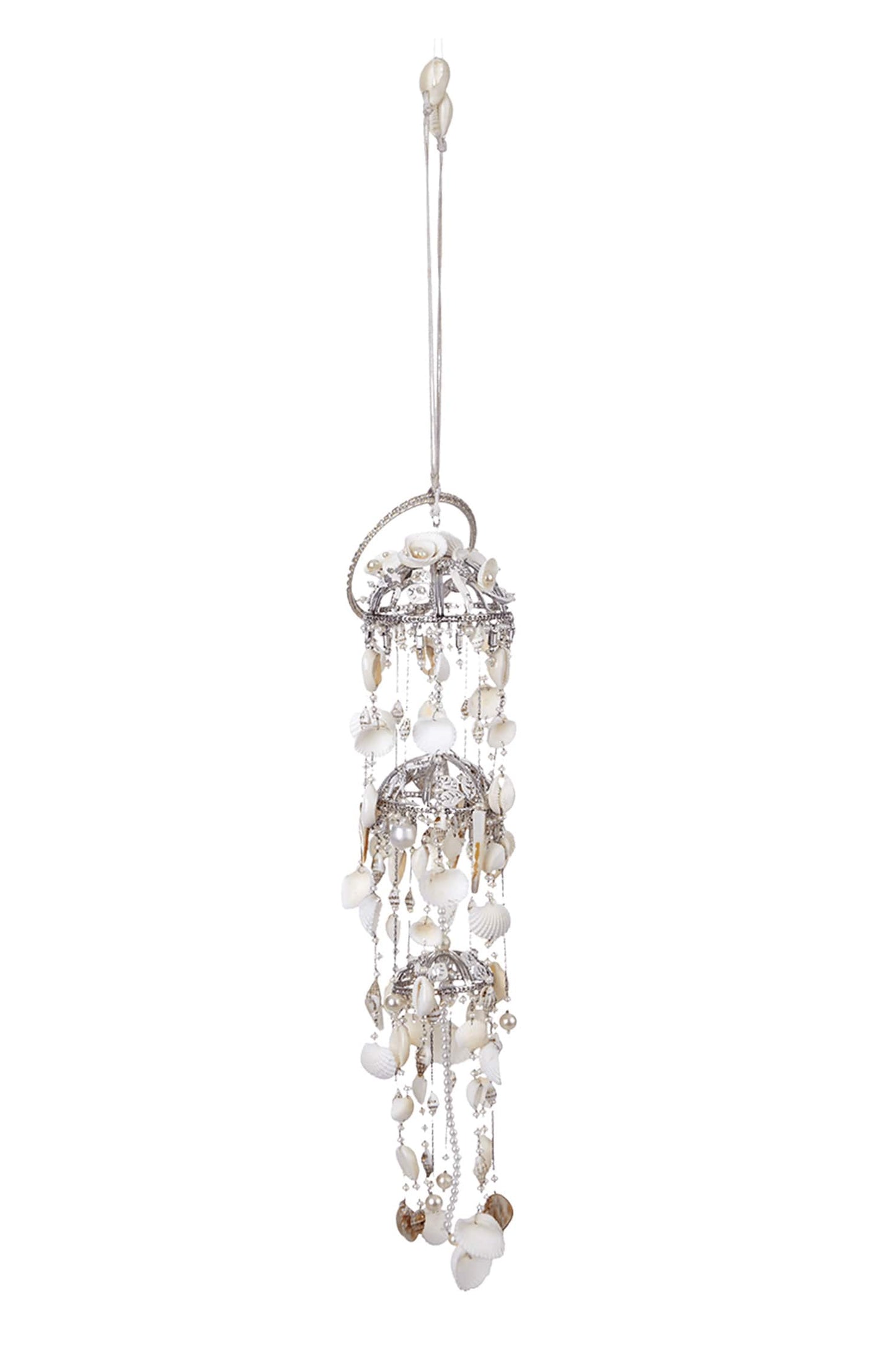 Lophorina Shell Kaleera Single Pc