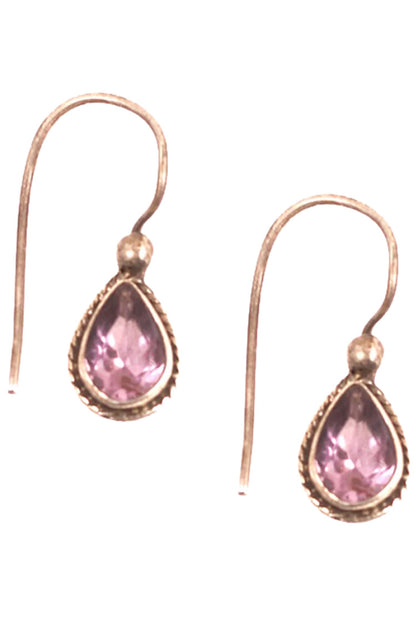 Stone Studded Hook Earrings 
