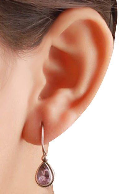Stone Studded Hook Earrings 