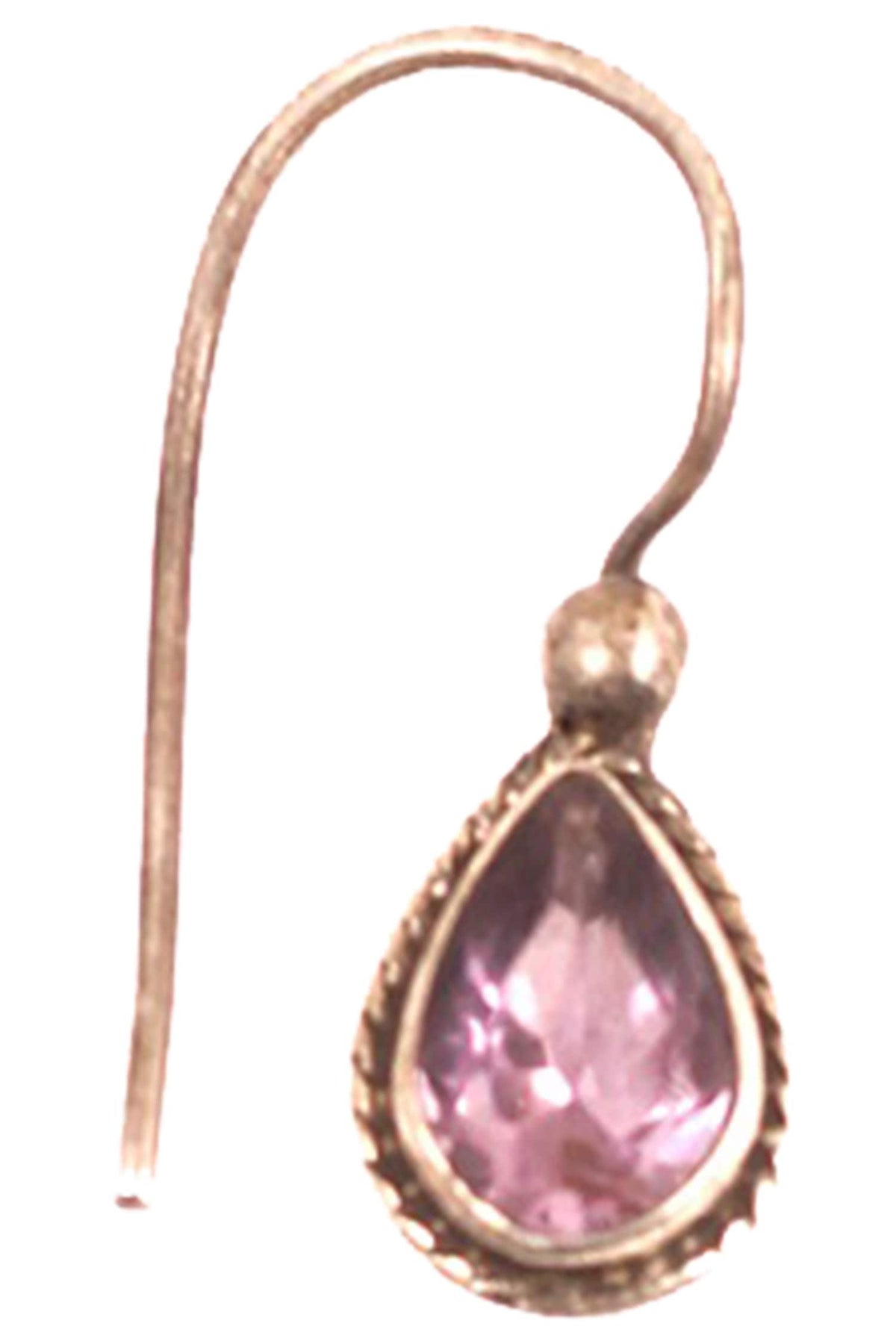 Stone Studded Hook Earrings 