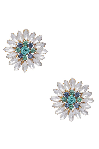 Stone earrings 