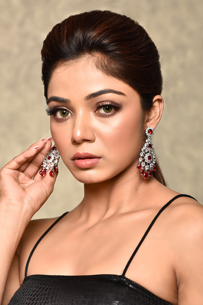 Embellished Dangler Earrings 