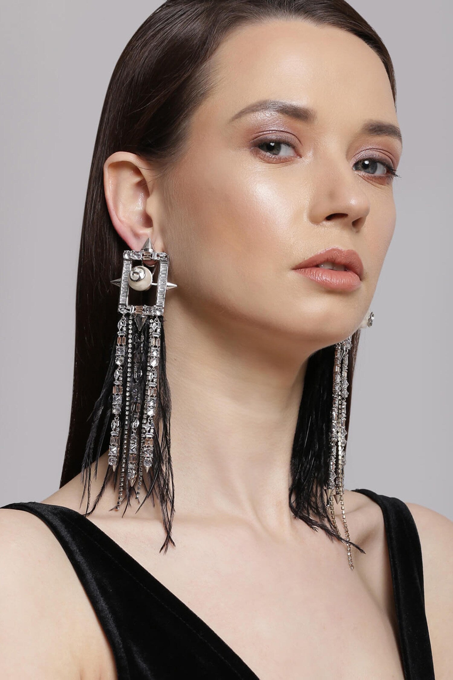 Crystal Tassel Long Earrings 