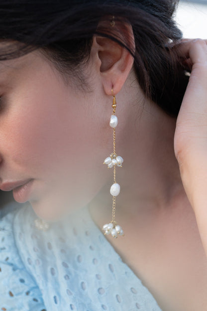 Pearl Embellished Dangler Earrings 