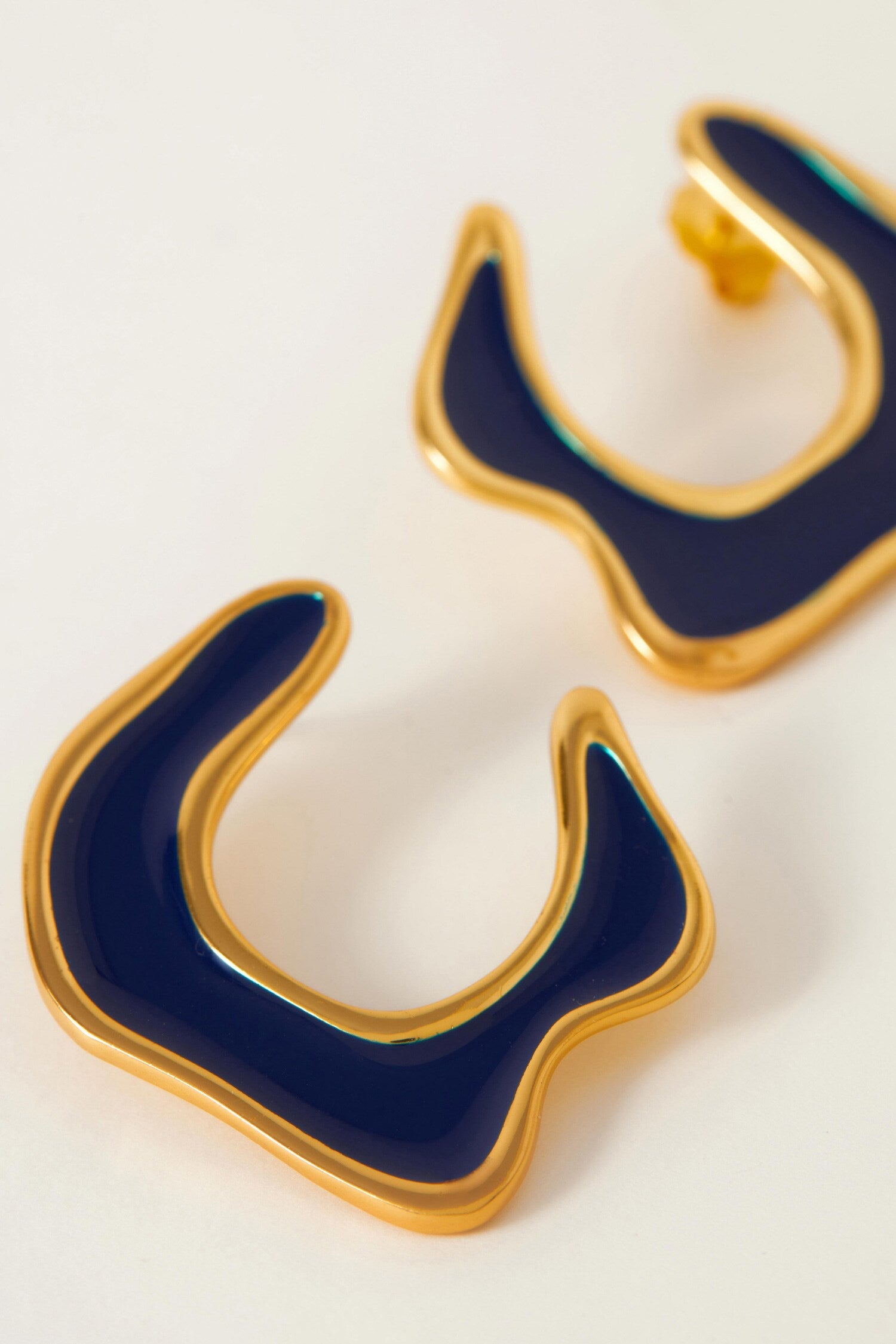 Hawaii Enamelled Earrings 