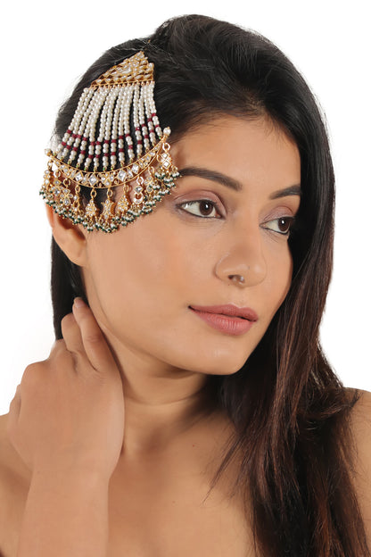 Meenakari Embellished Passa 