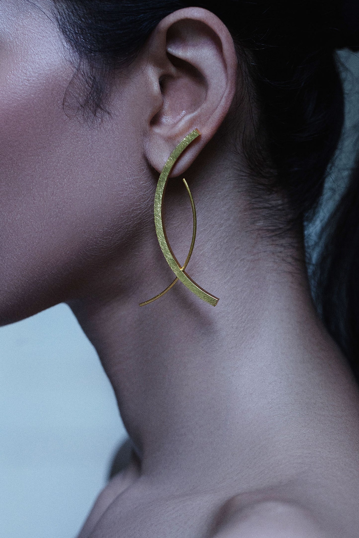 Koi Abstract Shaped Earrings 
