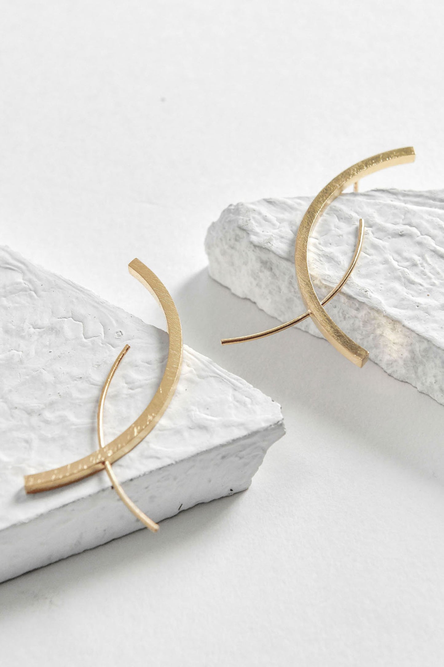 Koi Abstract Shaped Earrings 