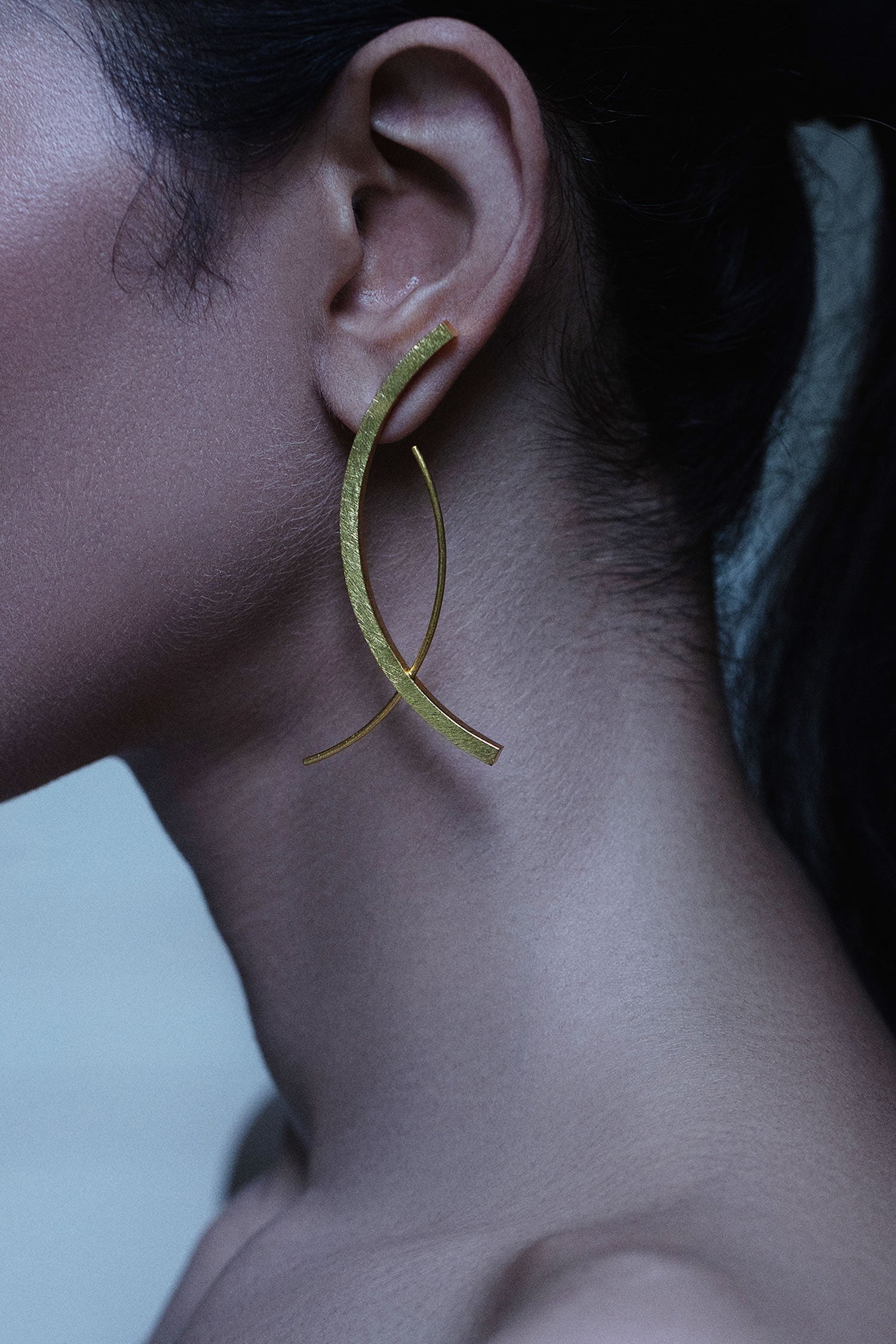 Koi Abstract Shaped Earrings 