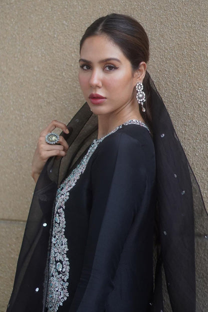 Stone Studded Earrings 