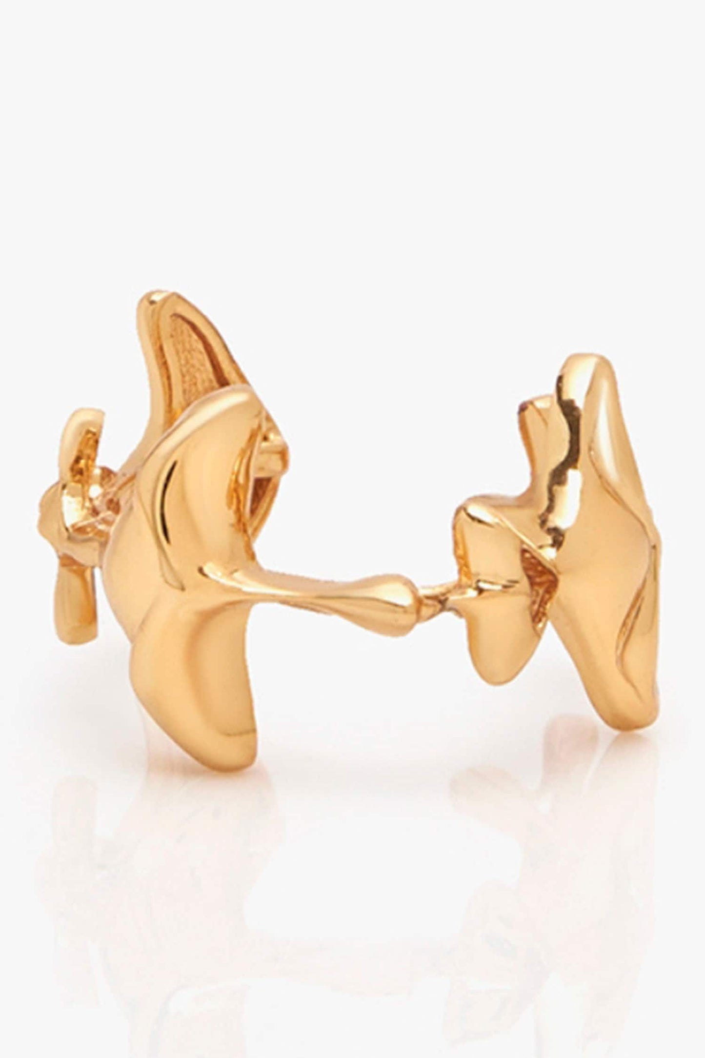 The Shroom Ring 