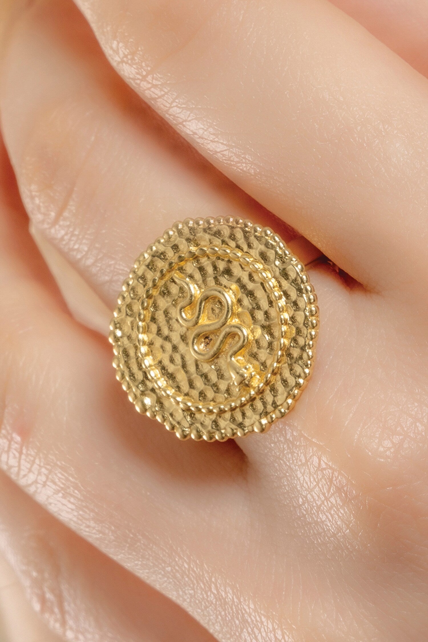 Textured Snake Carved Coin Shaped Ring 