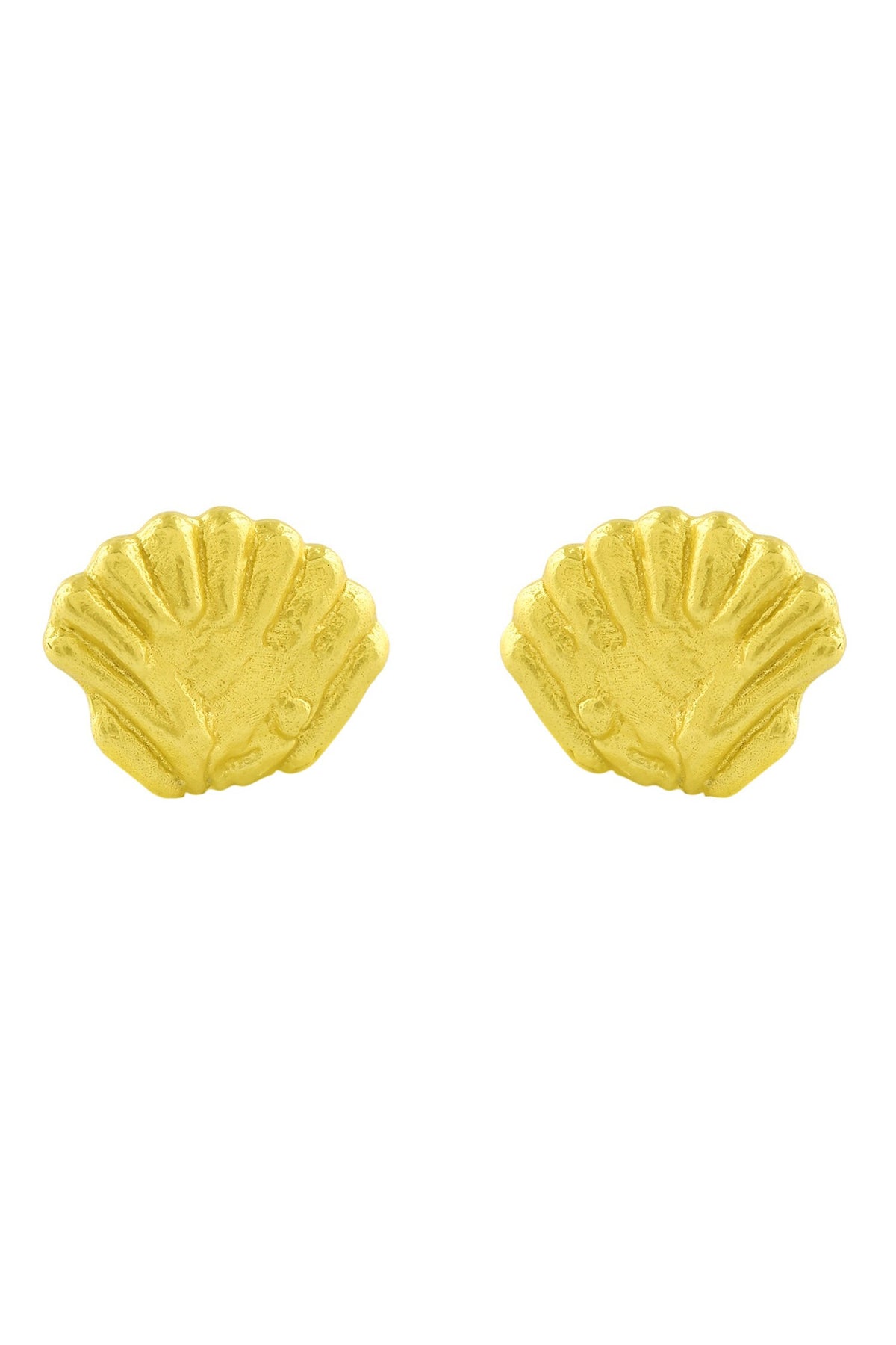 Sea Shell Stud Earrings 