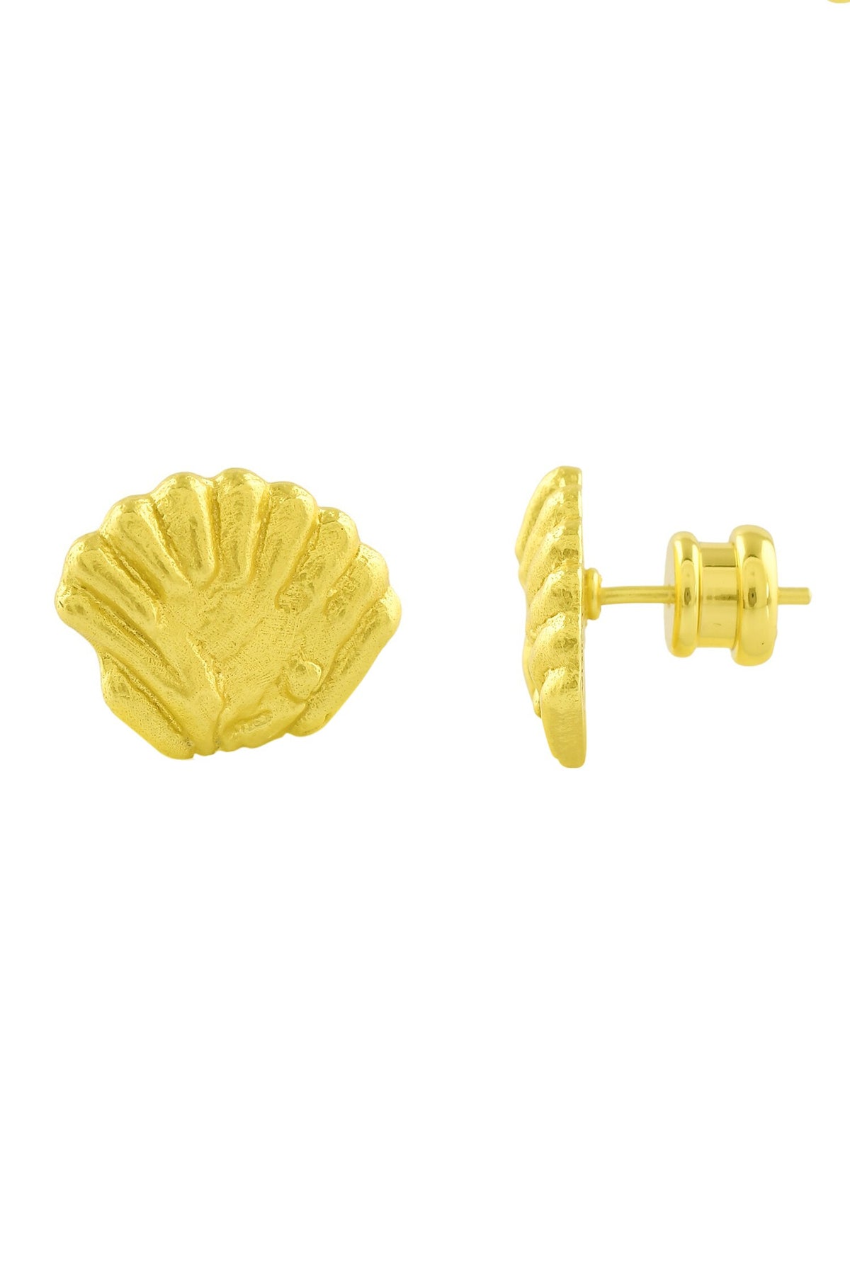 Sea Shell Stud Earrings 
