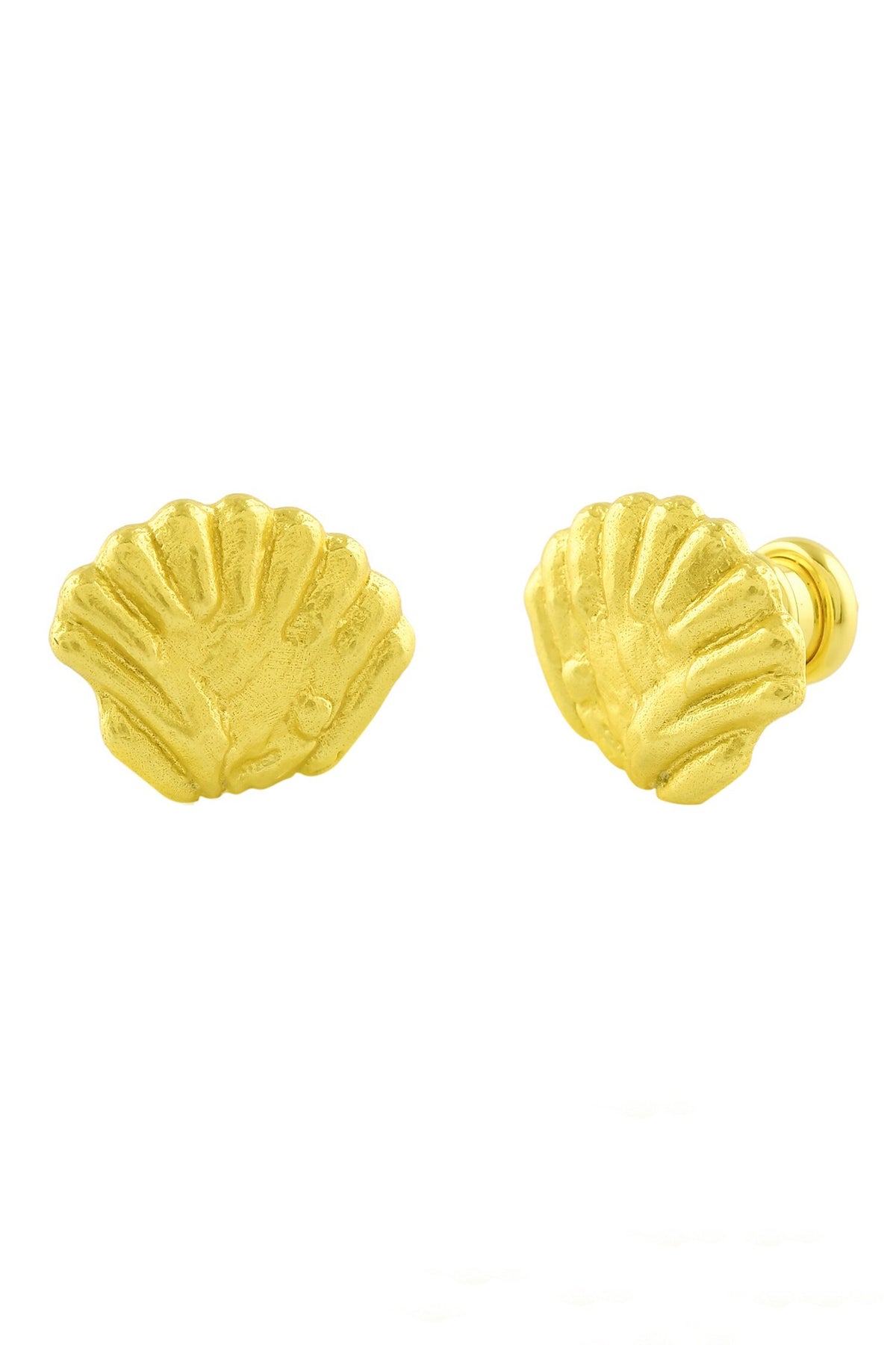 Sea Shell Stud Earrings 