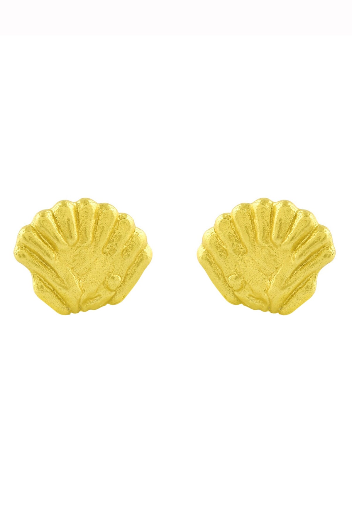 Sea Shell Large Stud Earrings 
