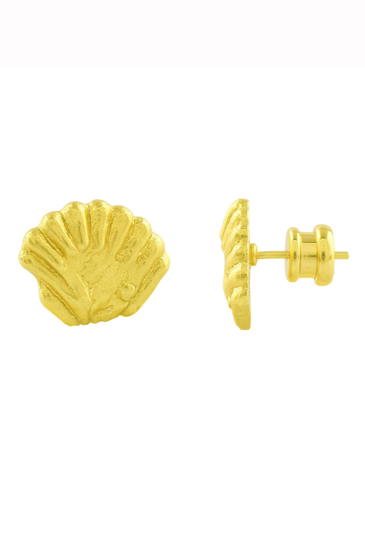 Sea Shell Large Stud Earrings 