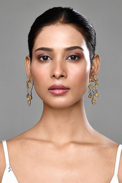 Crystal Embellished Dangler Earrings 