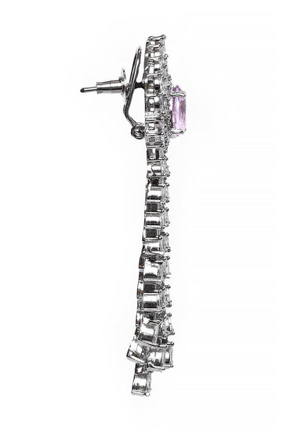 Crystals Embellished Dangler Earrings 