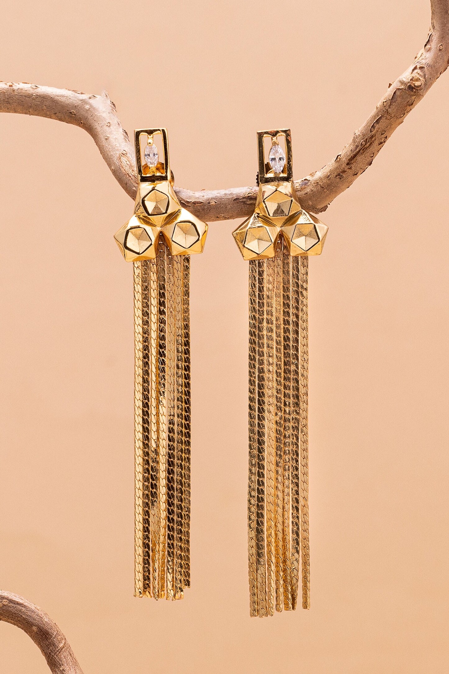 Lerez Stone Studded Fringe Earrings 