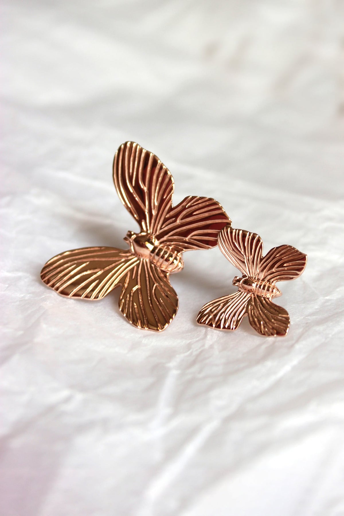 Butterfly Textured Earrings 