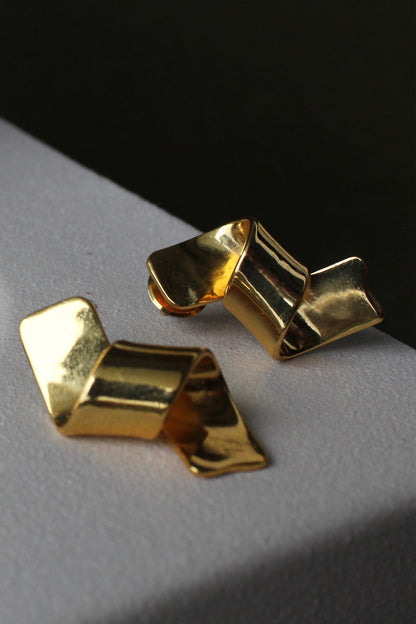 Acrux Ribbon Pattern Earrings 