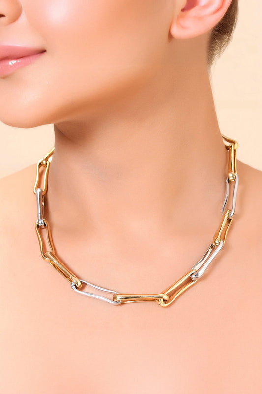 Linked Contrast Paperclip Necklace 
