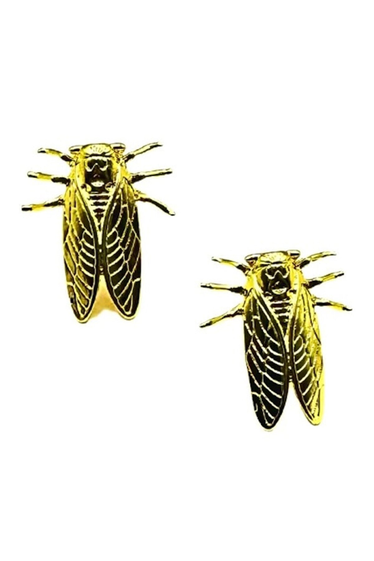 Cicada Carved Studs 