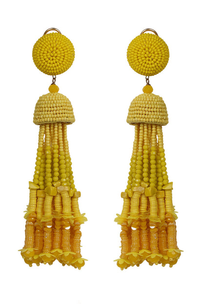 Tonal Gradient Beaded Long Earrings 