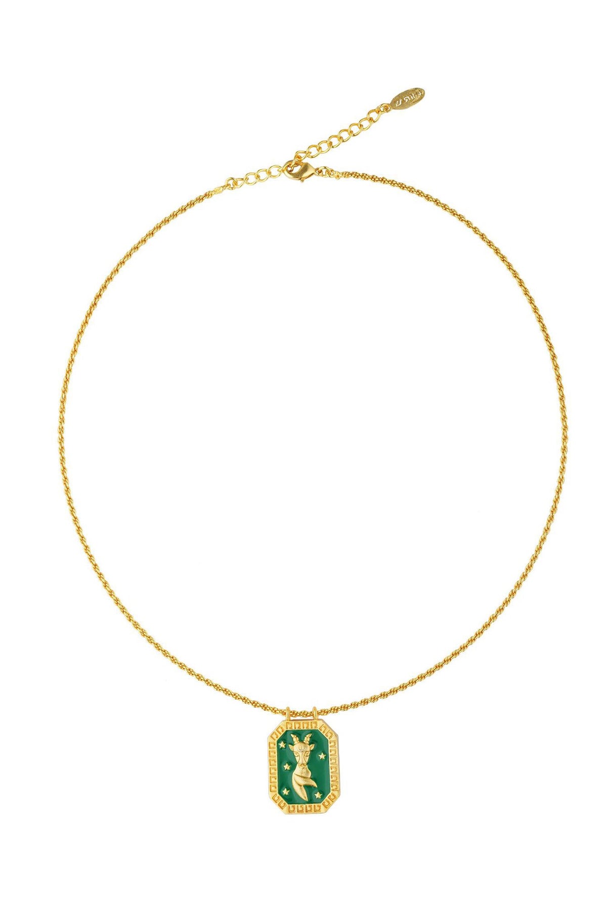 Capricorn Zodiac Tablet Necklace 