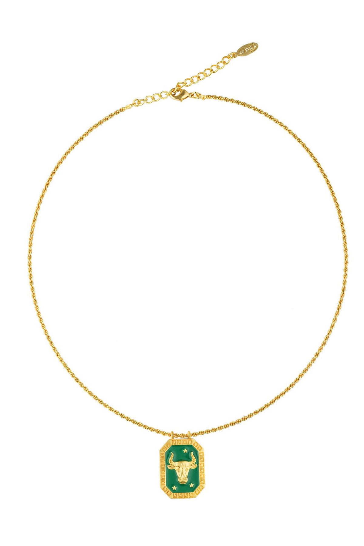 Taurus Zodiac Tablet Necklace 