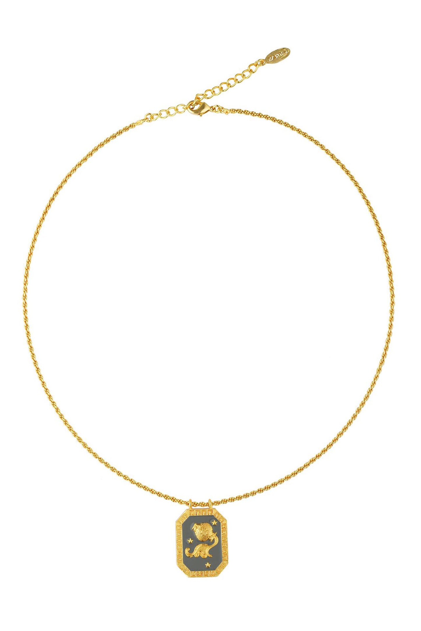 Aquarius Zodiac Tablet Necklace 