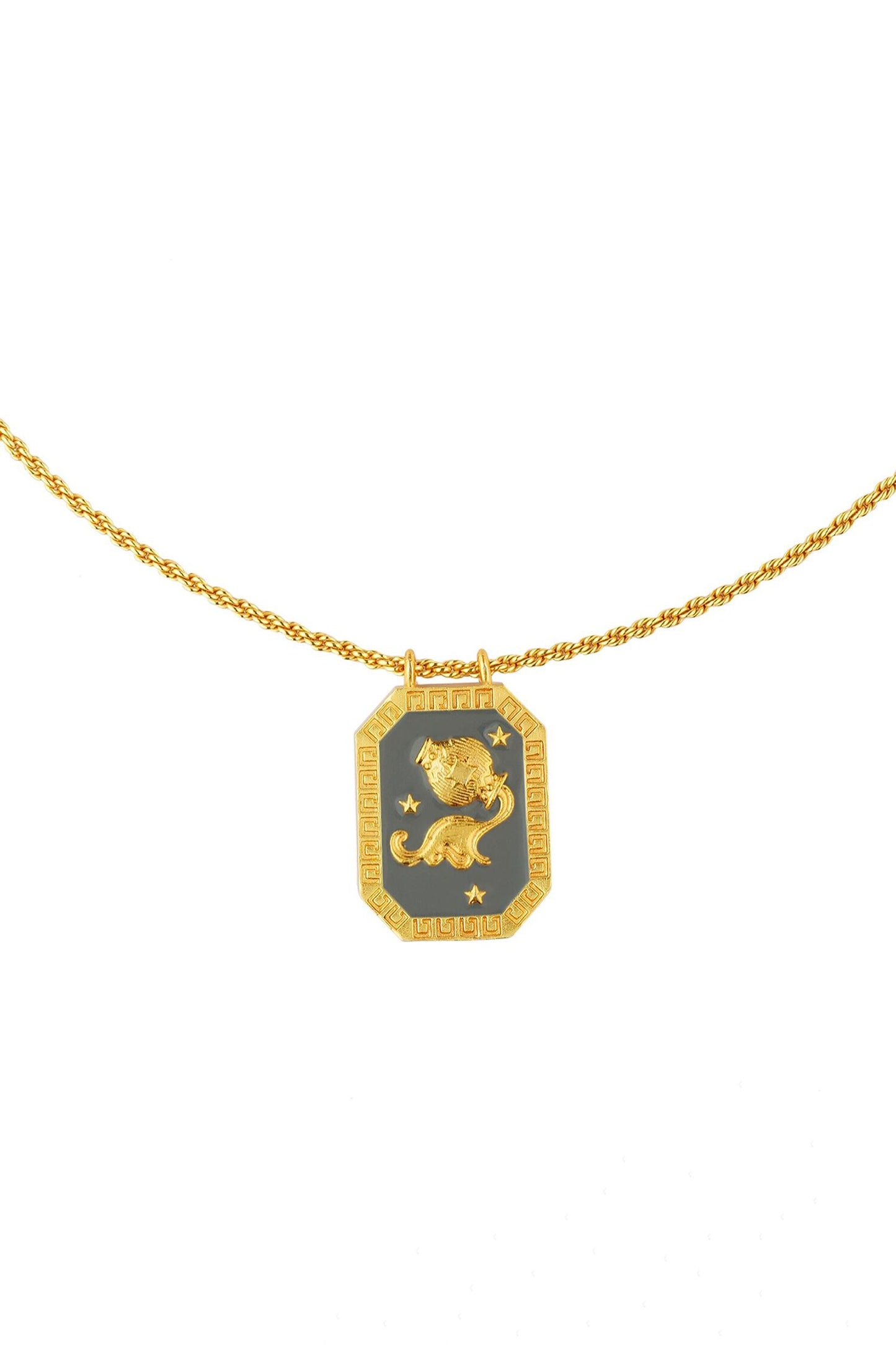 Aquarius Zodiac Tablet Necklace 
