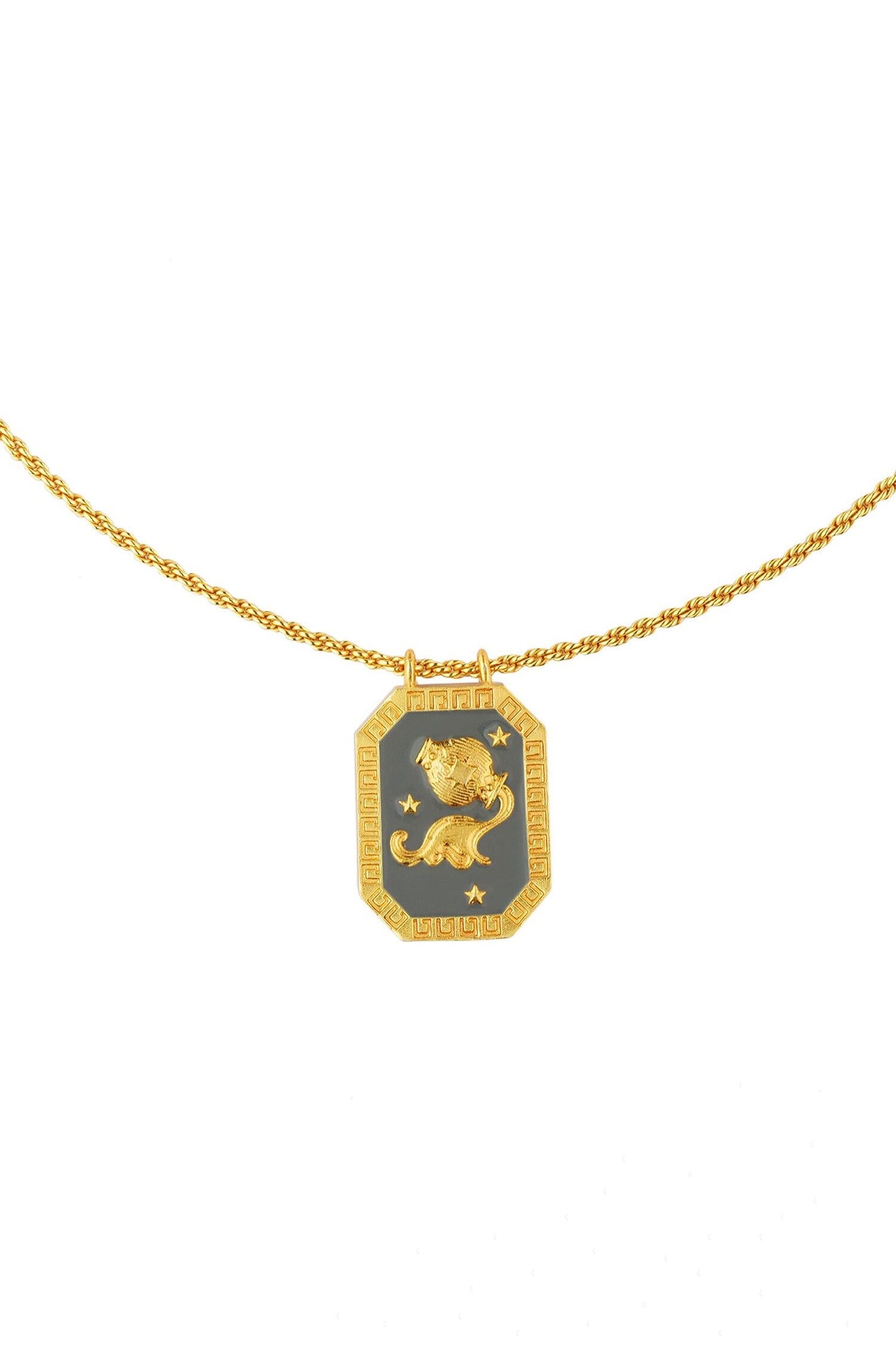 Aquarius Zodiac Tablet Necklace 