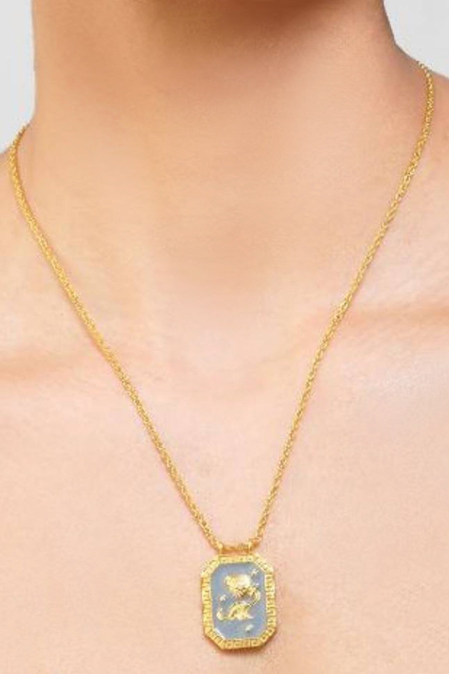 Aquarius Zodiac Tablet Necklace 