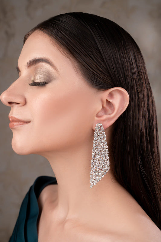 Silver Designer Earrings 