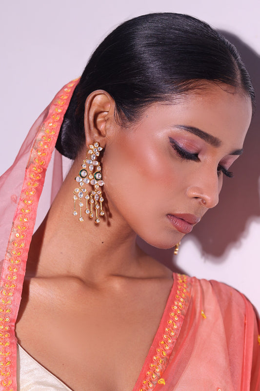 Rani Embellished Earrings 