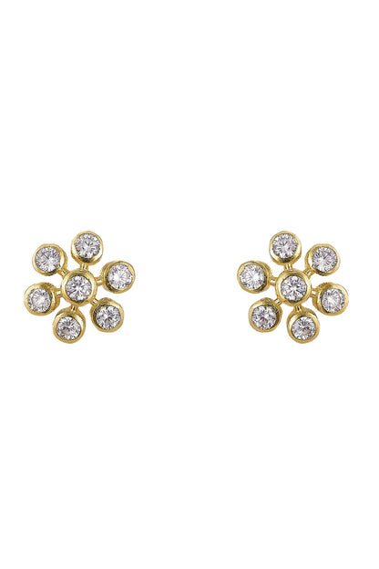 925 Silver Holly Earrings 