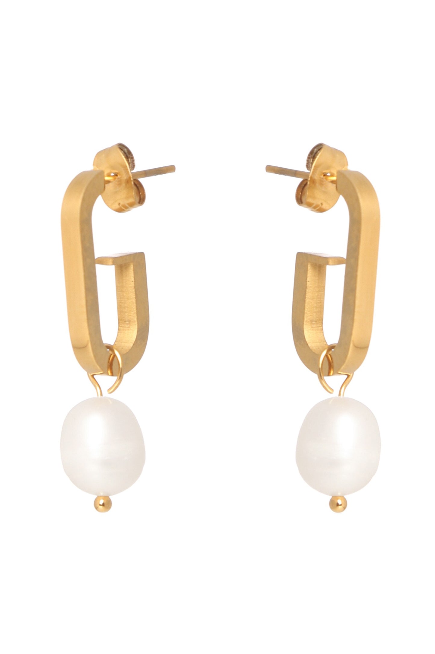 Dangle Dream Earrings 