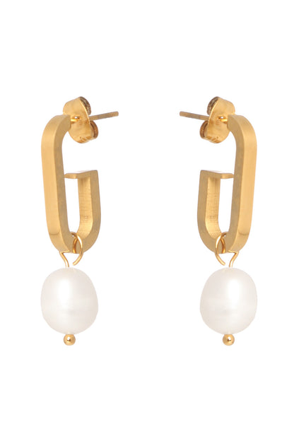 Dangle Dream Earrings 