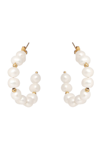 Irregular Beauty Earrings 