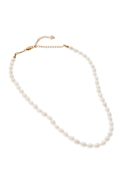 Clavicale Pearl Grace Necklace 