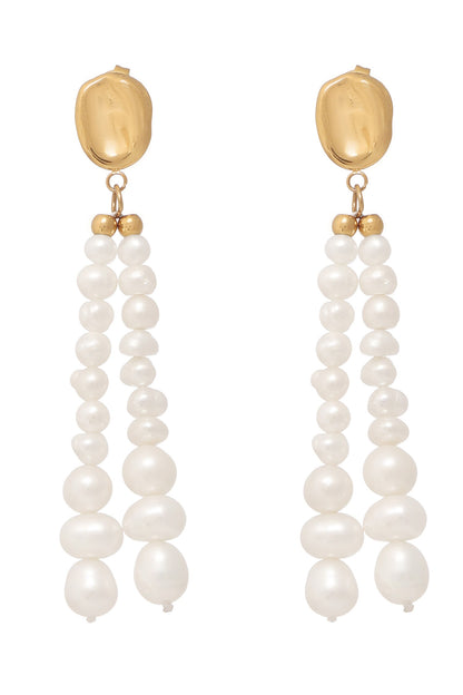 Tassle Dazzle Earrings 