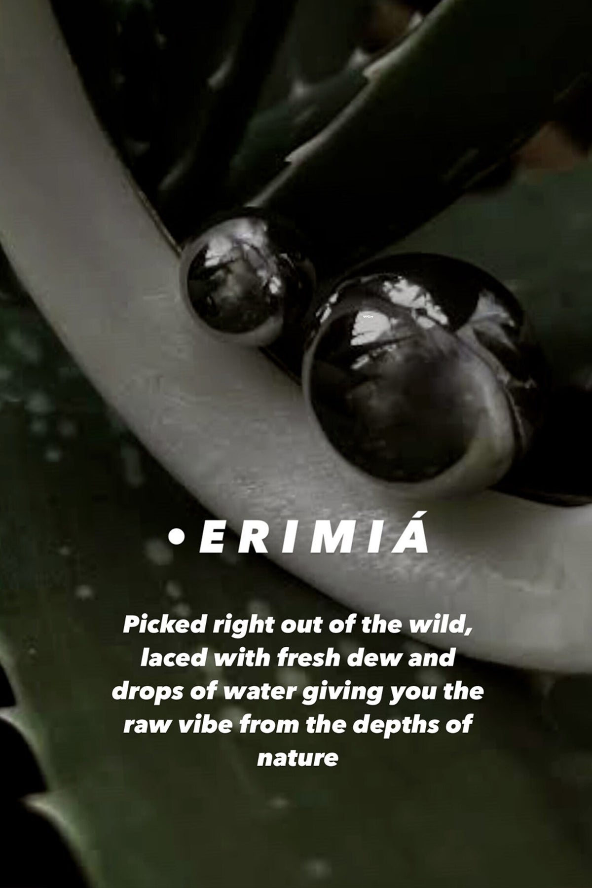 Erimia Hoops 