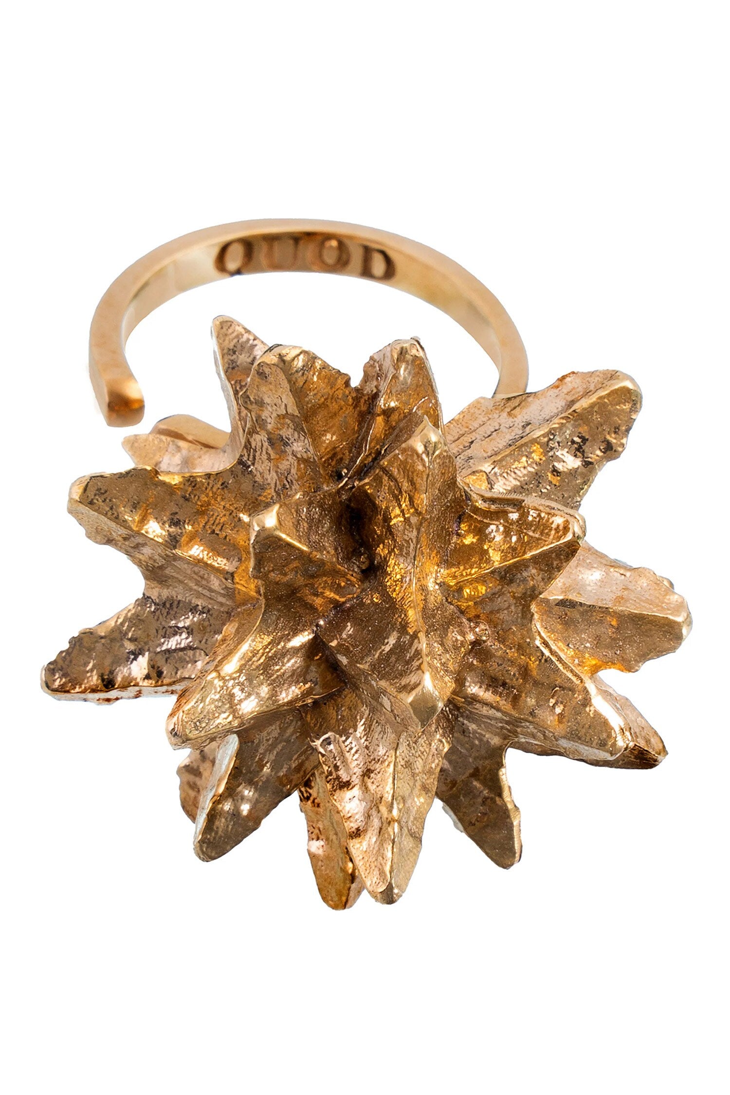 Interstellar Ring 