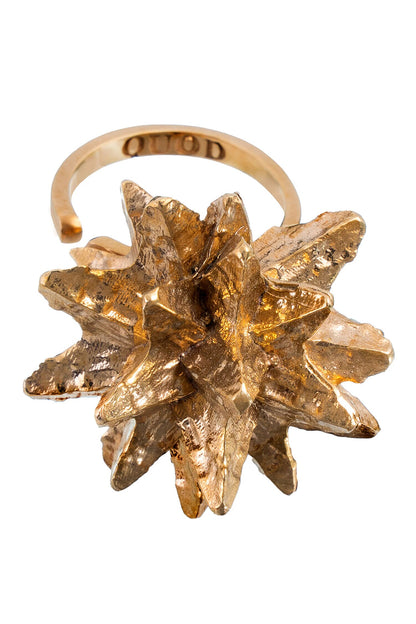 Interstellar Ring 